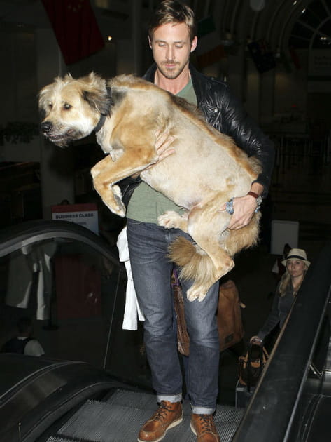 Ryan Gosling porte son chien George