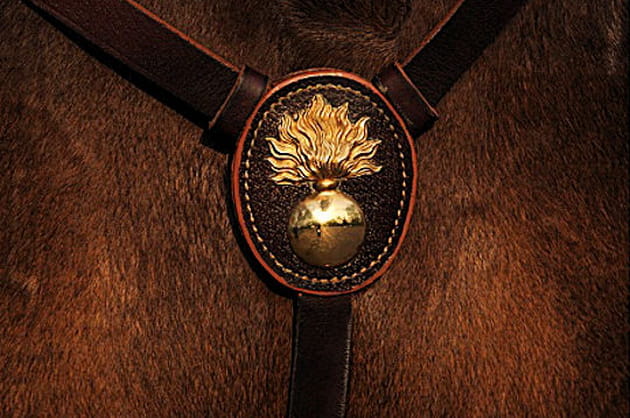 Grenade de la gendarmerie rehaussant un poitrail