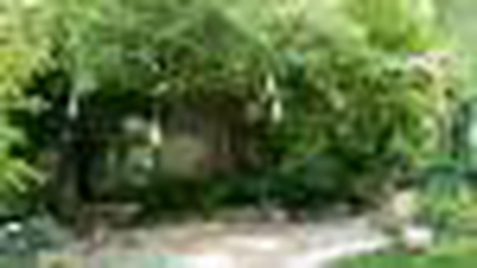 Salon de verdure