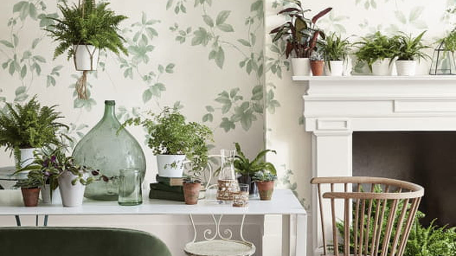 Papier peint kaki 
