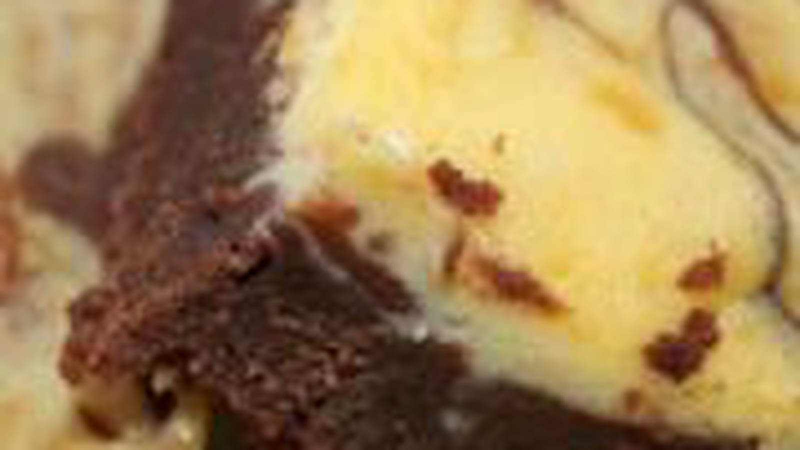 Brownies marbrés aux deux chocolats et mascarpone