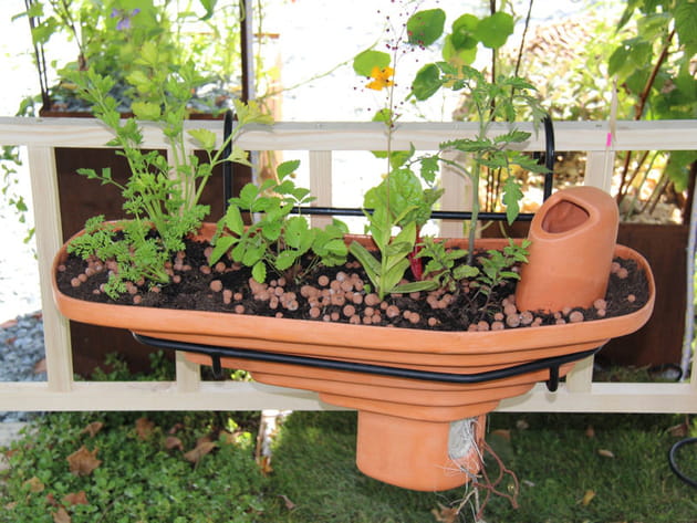 Jardins, Jardin : les bonnes idées repérées pour le jardin