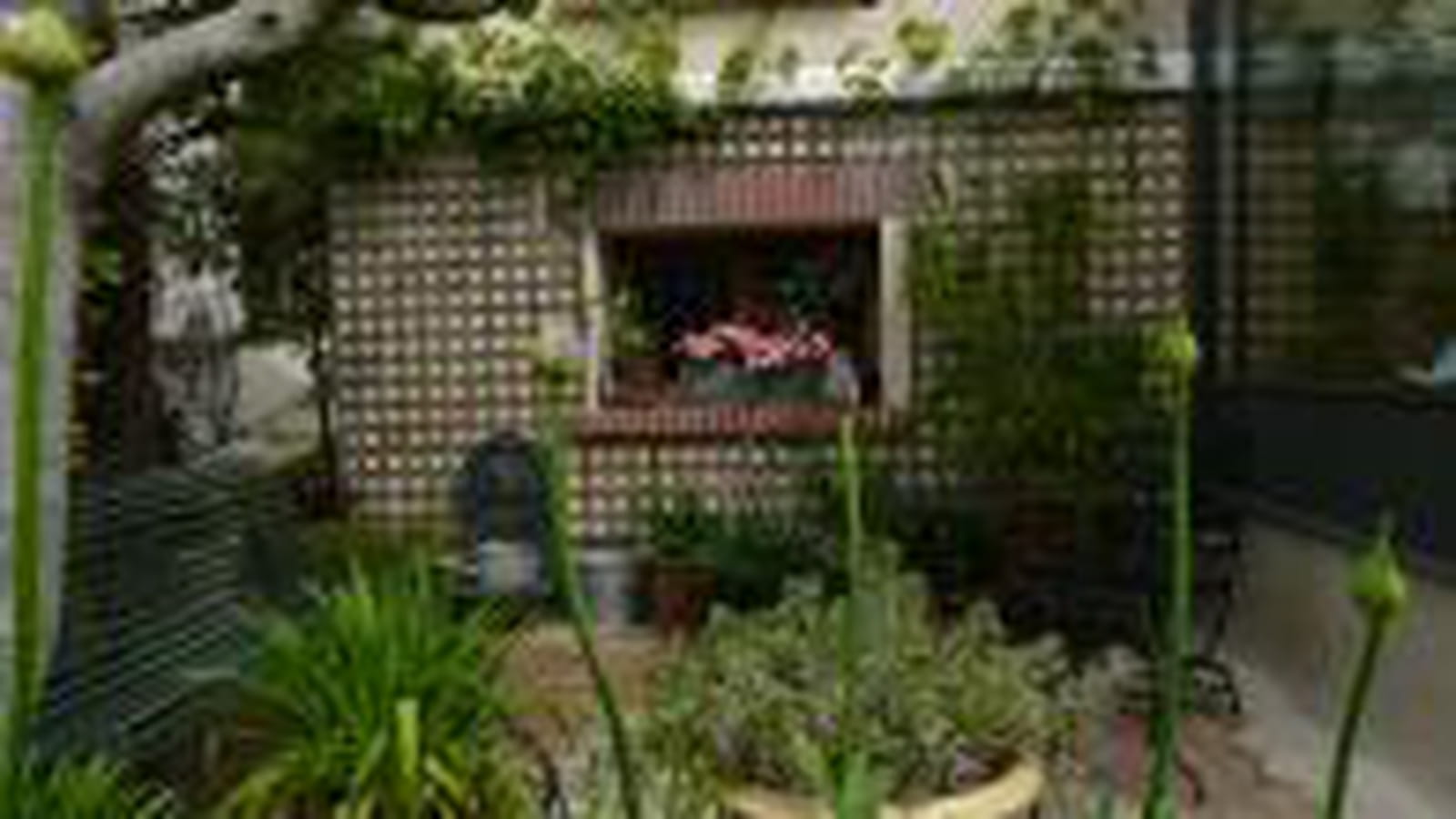 Petite terrasse