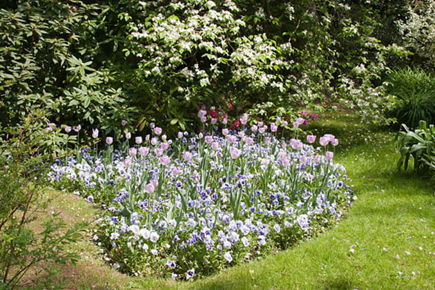 Des parterres de fleurs monochromes