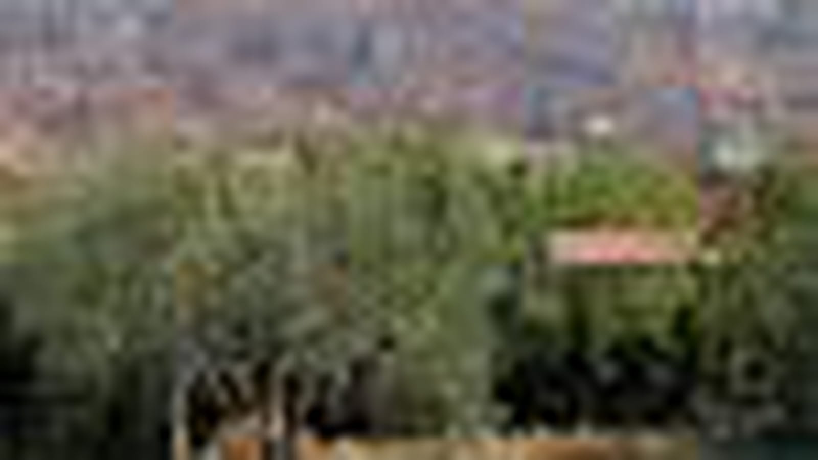 Jardin 