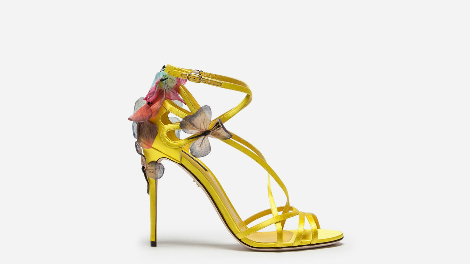 Dolce & Gabbana