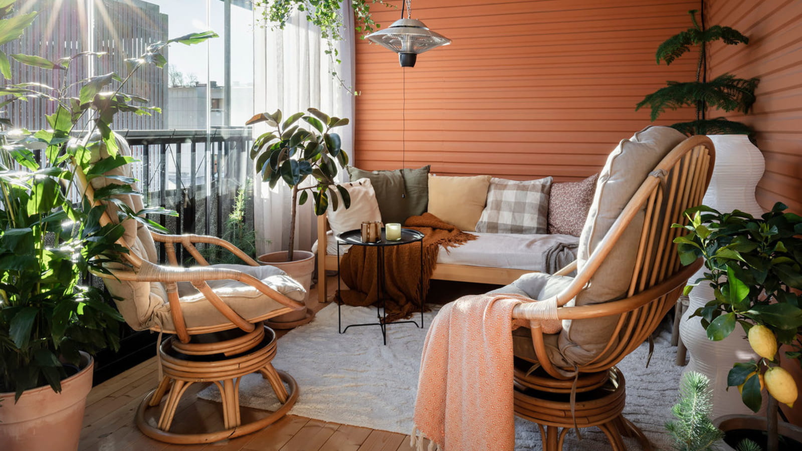 Plantes 