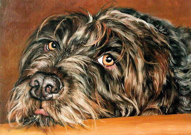 Dans les yeux de Nadia