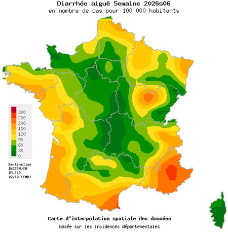Carte gastro-entérite France Février 2026