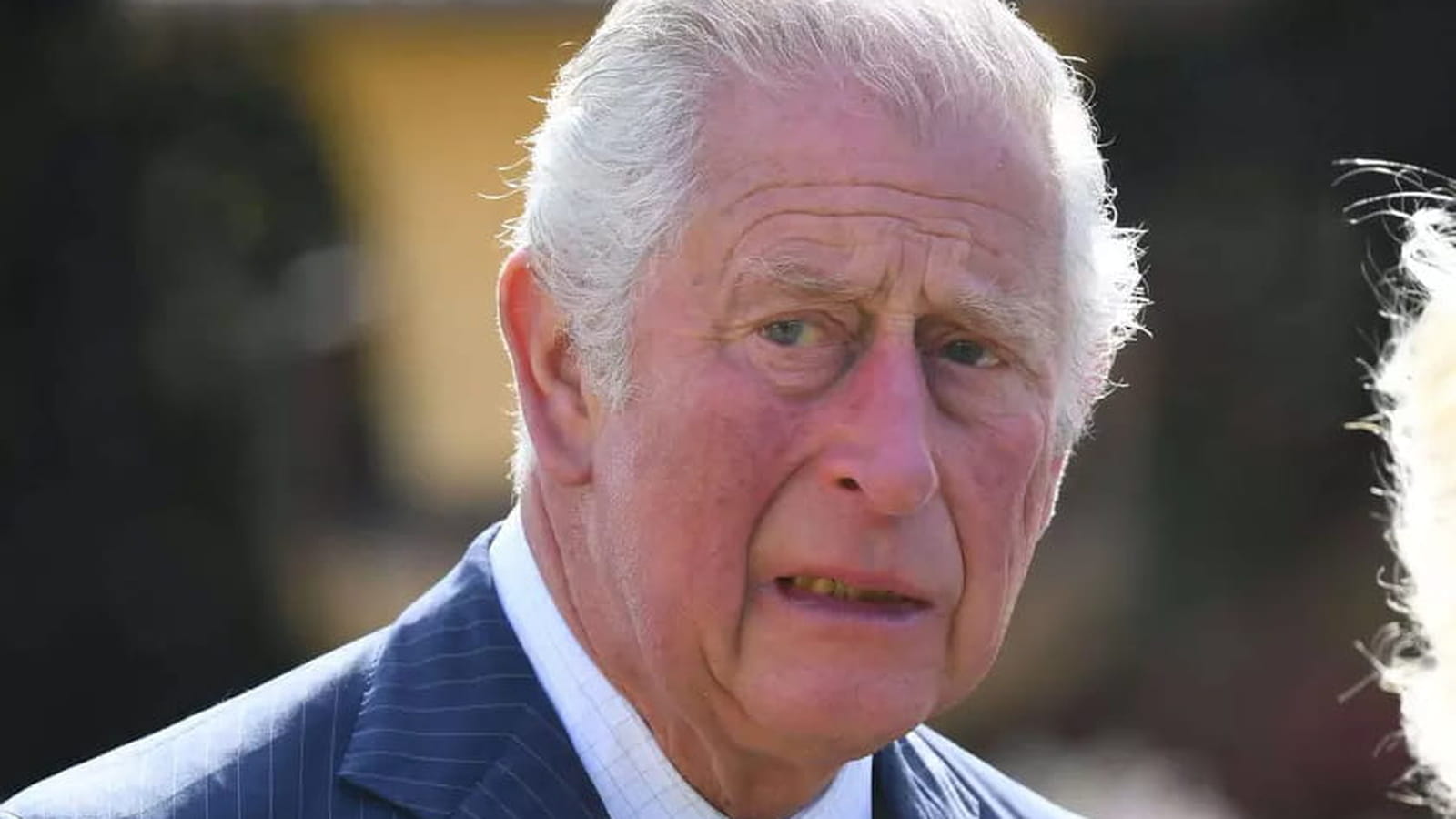 Prince Charles