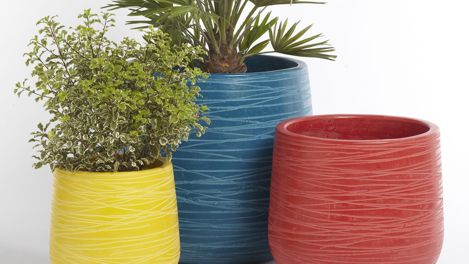 Pots colorés Magasins U