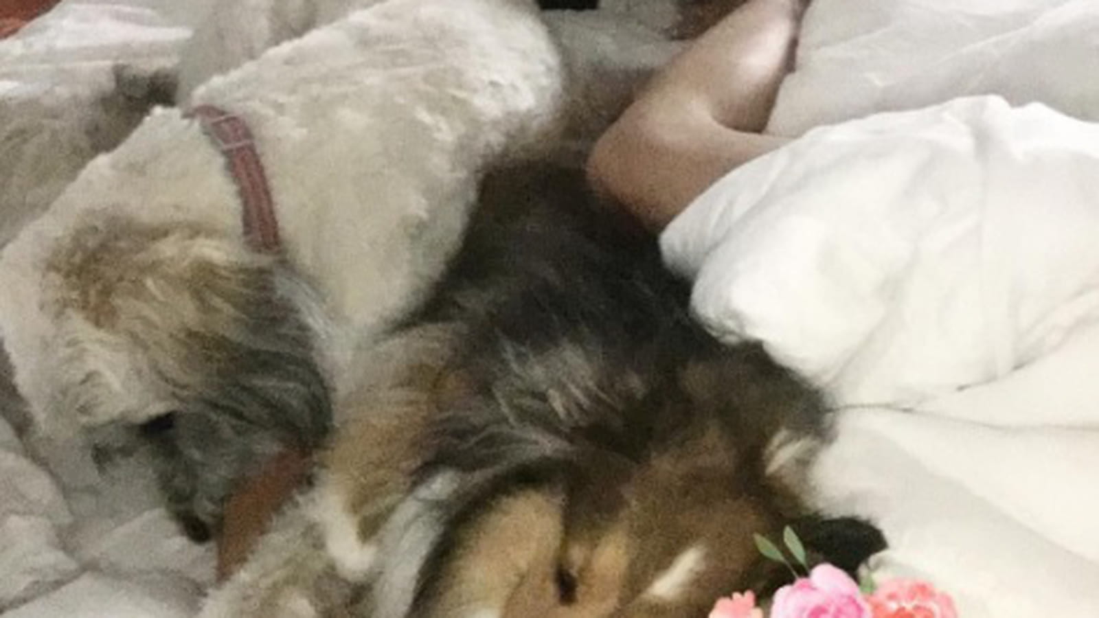 Miley Cyrus