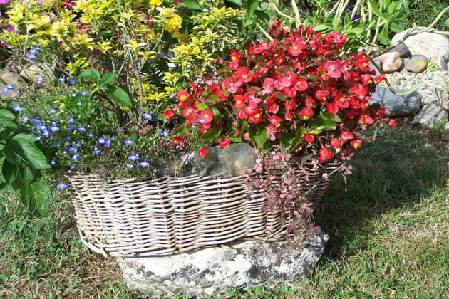 Une malle en osier rustique