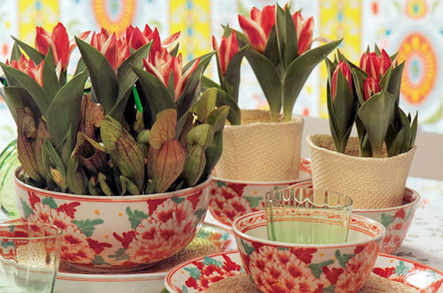 Recherchez l'harmonie