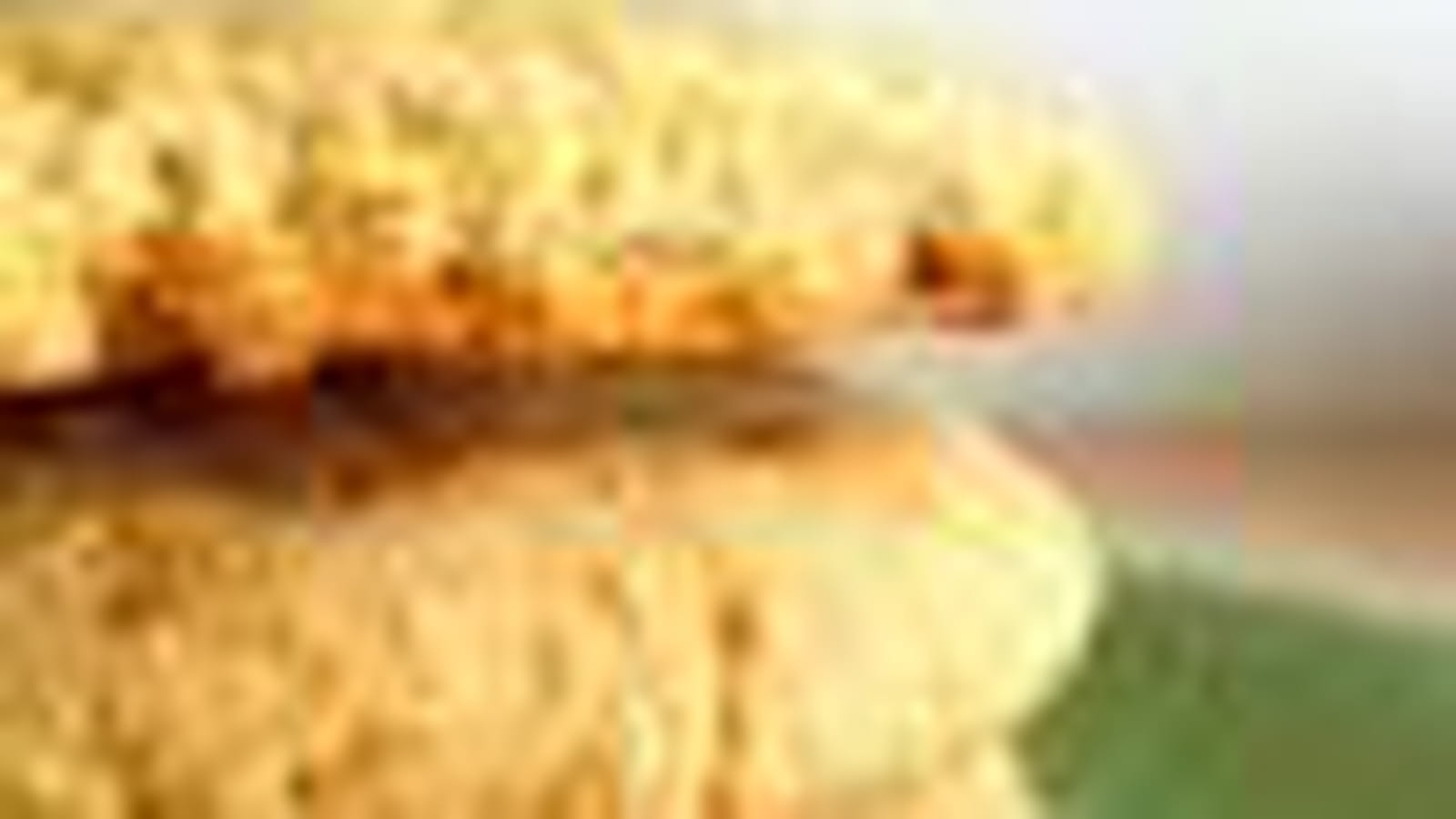 Biscuits au beurre de cacahuètes