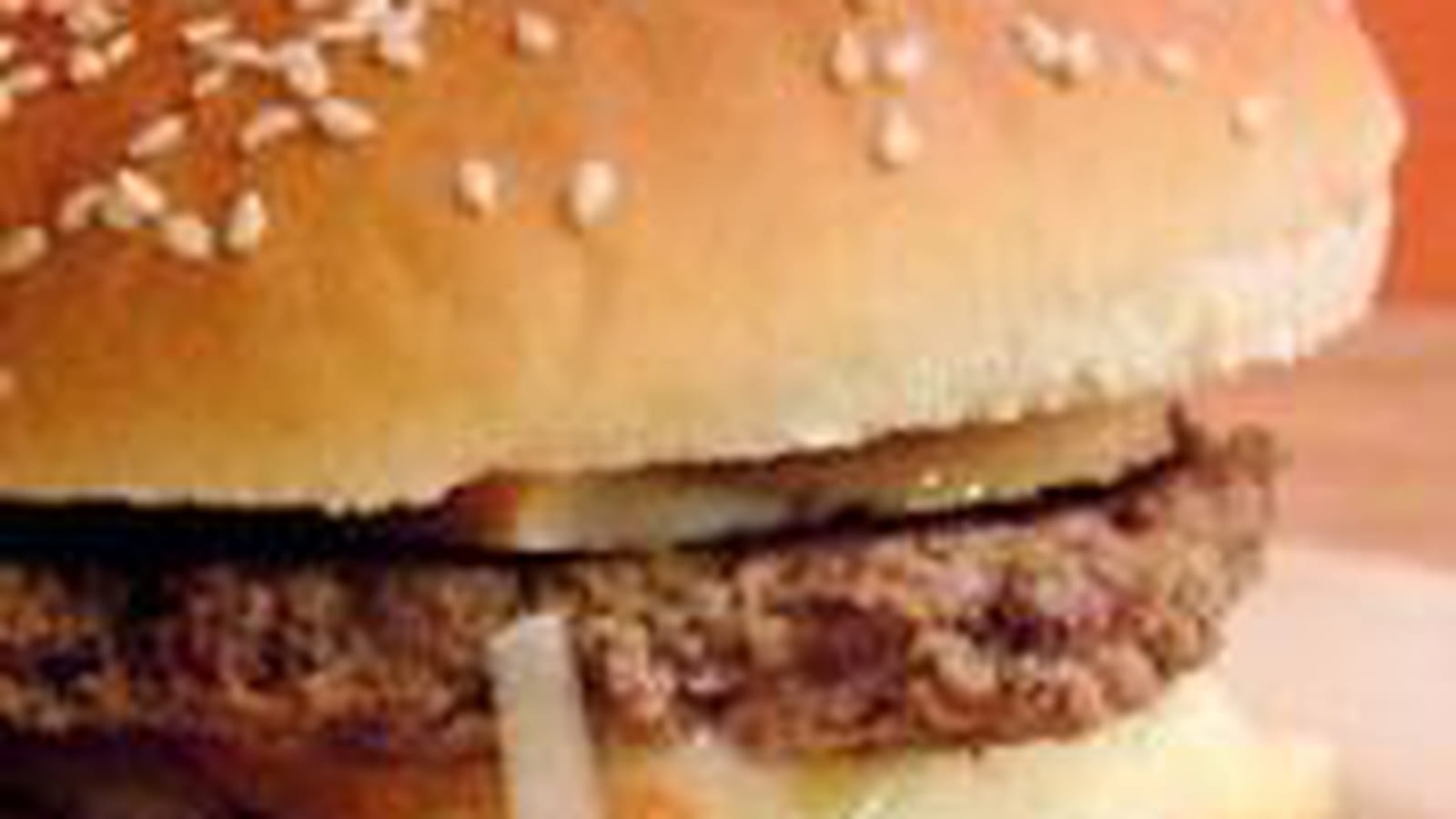 Hamburger du Nord