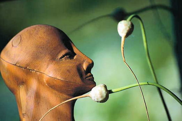 Sculptures spontan&eacute;es