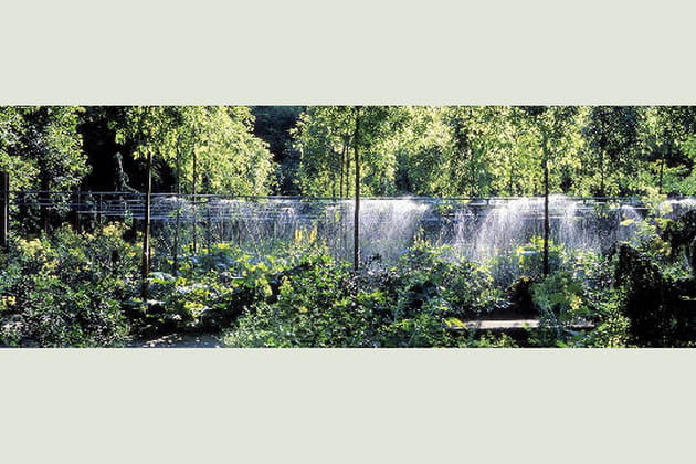 Symbiose de l'eau et des plantes, Méry-sur-Oise