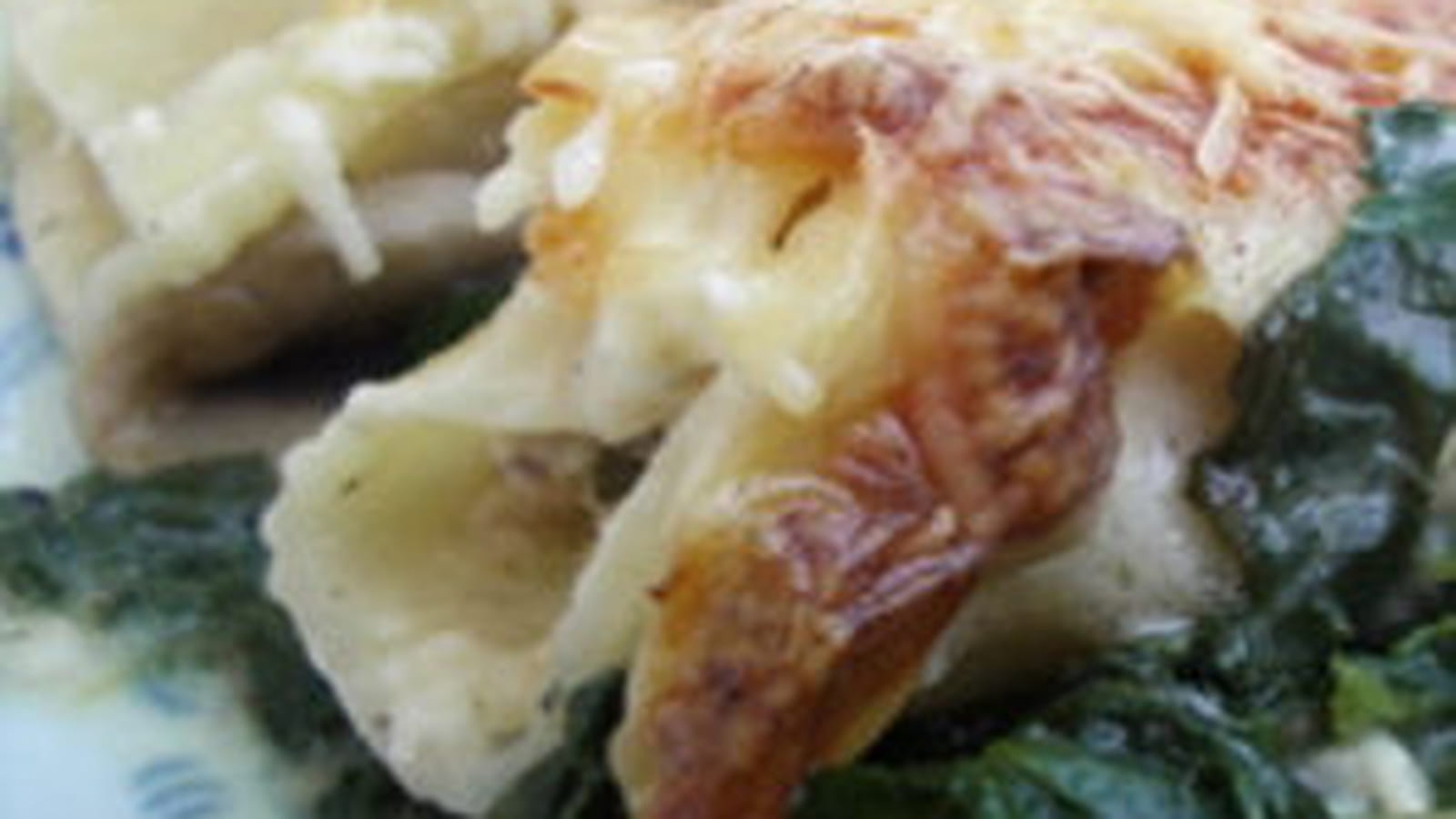 Cannelonis