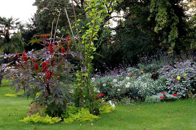 Exubérance au Parc Monceau