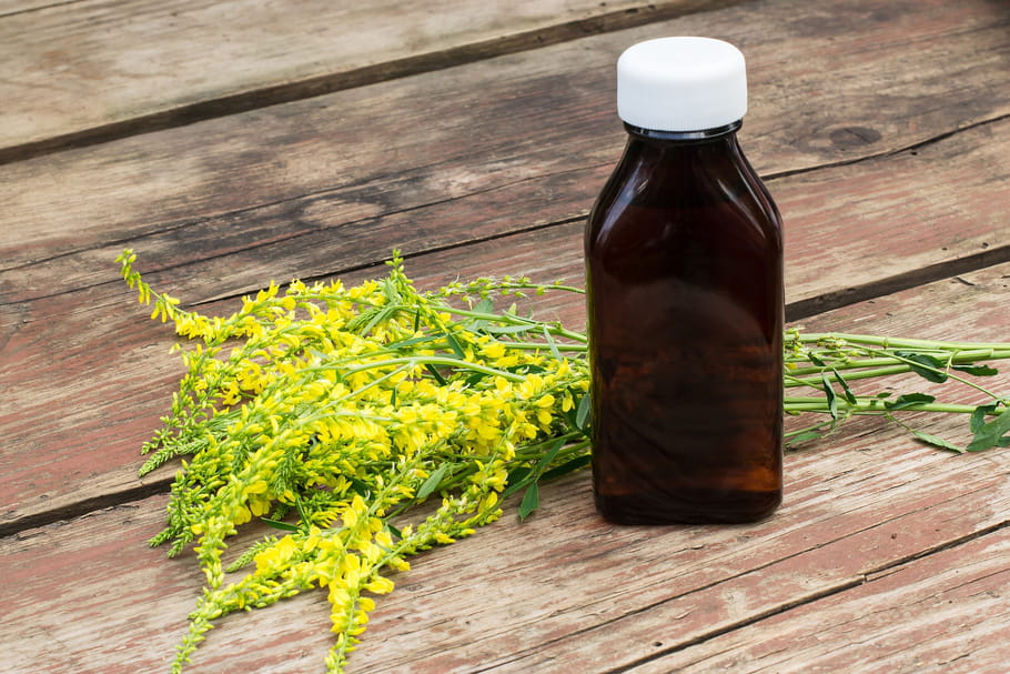 Mélilot : bienfaits, infusion, gélule, où en acheter ?