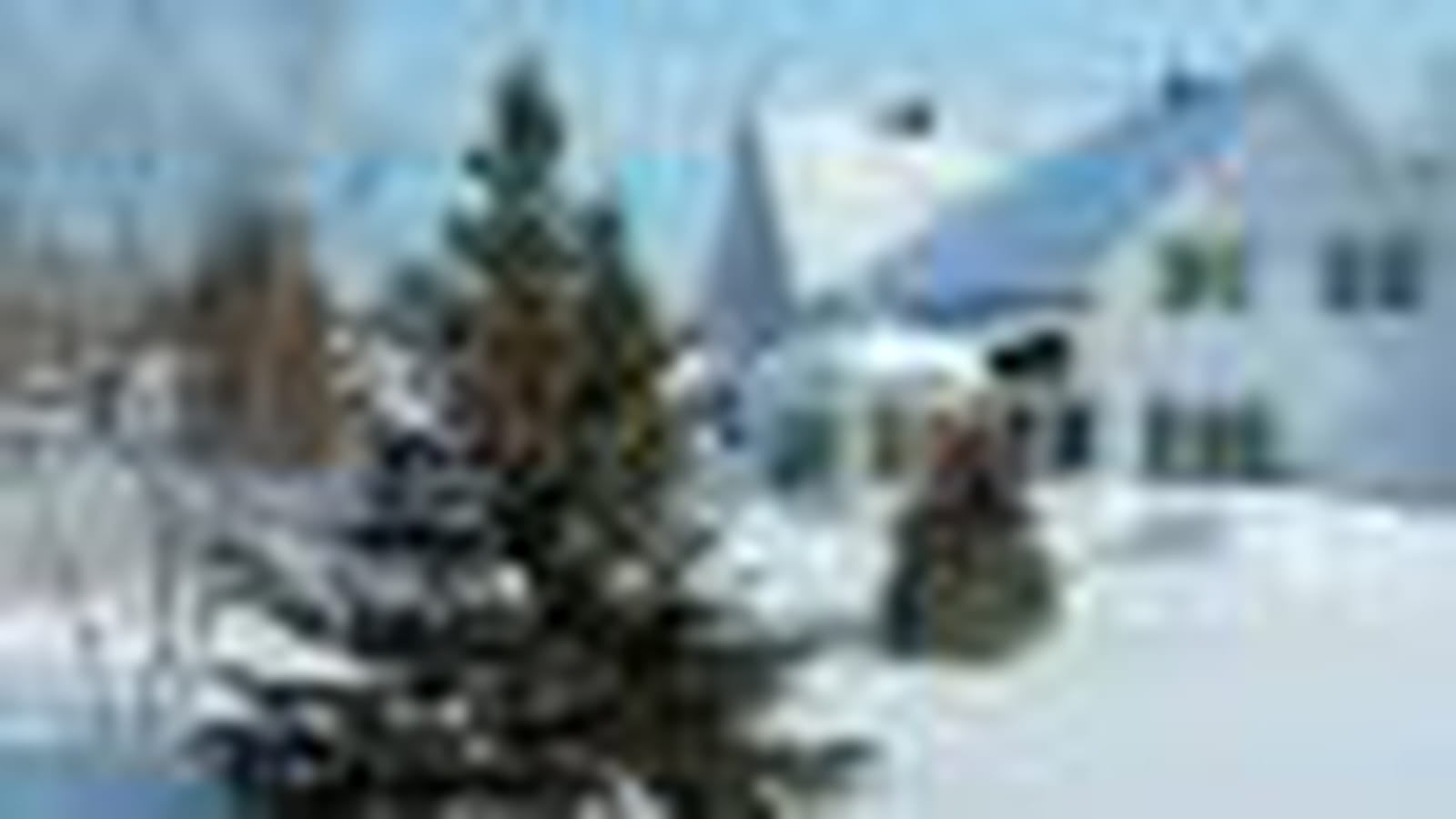 Neige