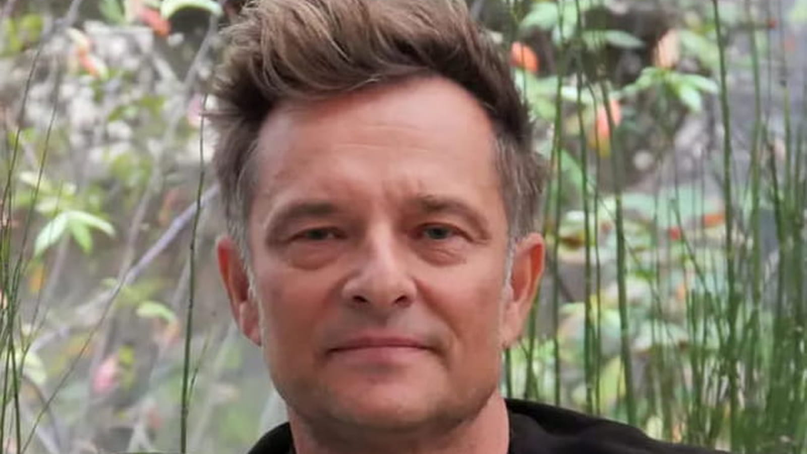 David Hallyday
