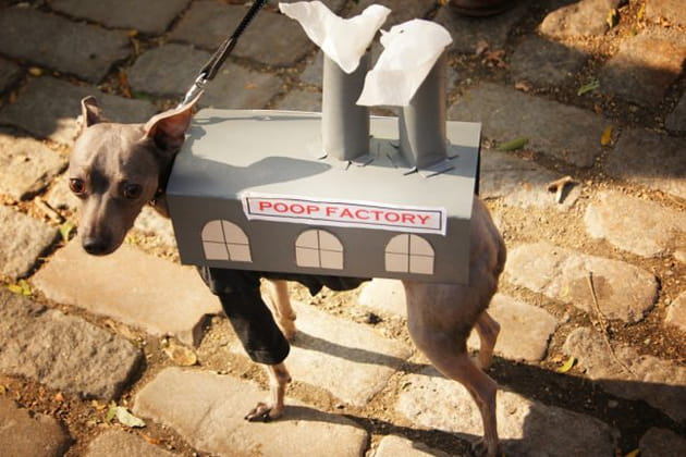 Une usine tr&egrave;s particuli&egrave;re