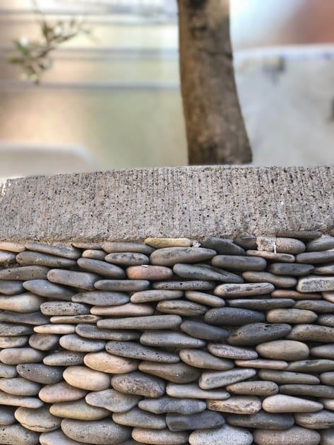 Des &eacute;l&eacute;ments conserv&eacute;s