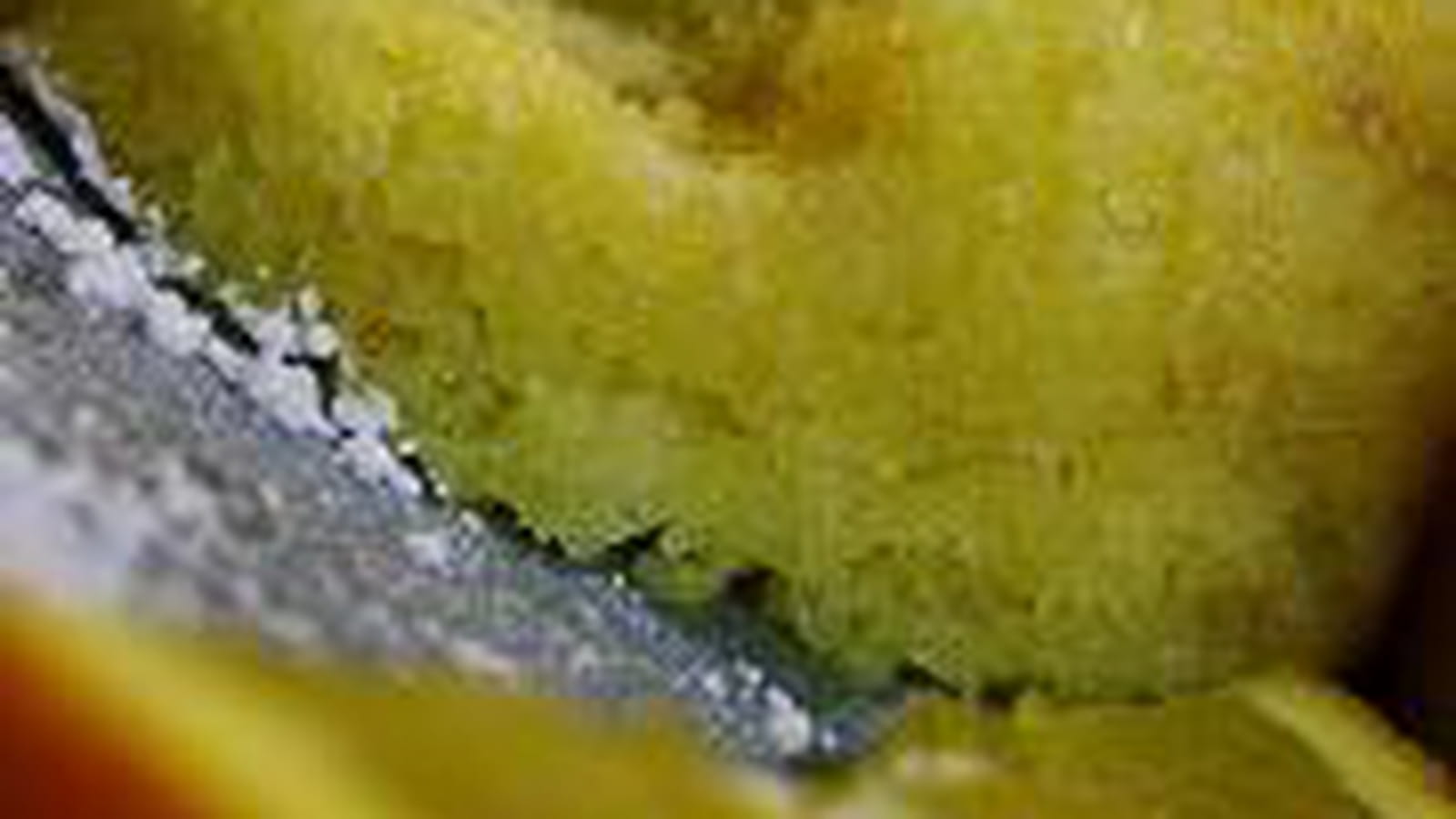 Fondant à l'orange