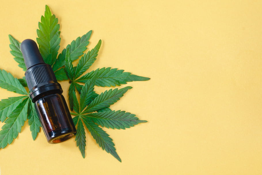 L'Assemblée nationale autorise le cannabis médical