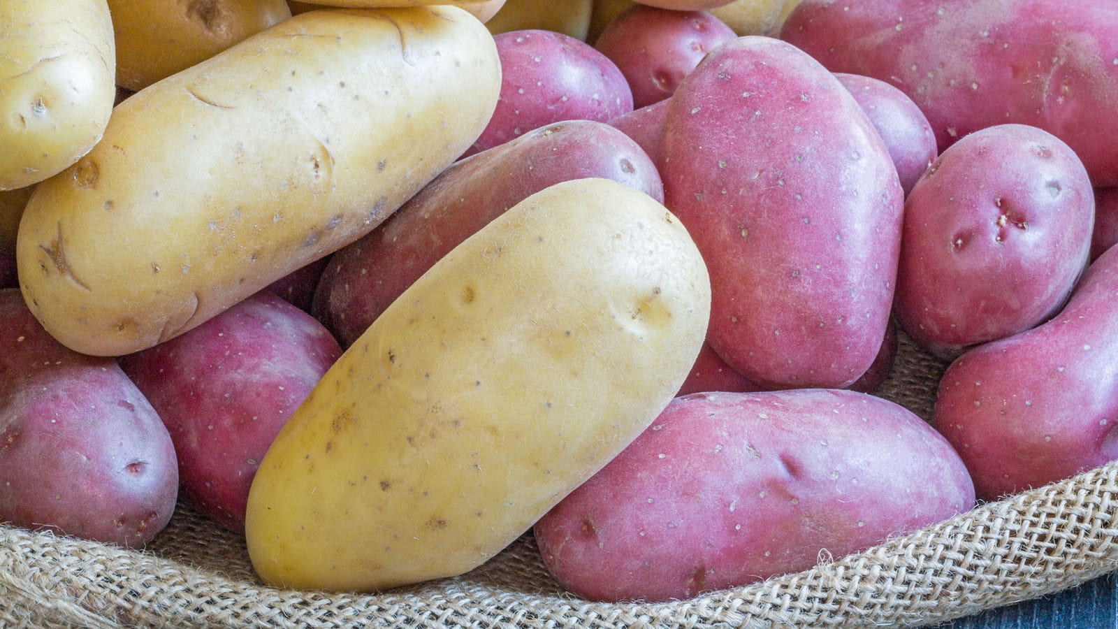 Les pommes de terre