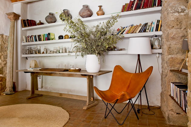 Des branches d'olivier assemblées en bouquet