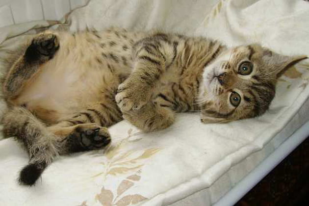 Pr&ecirc;te &agrave; s'endormir