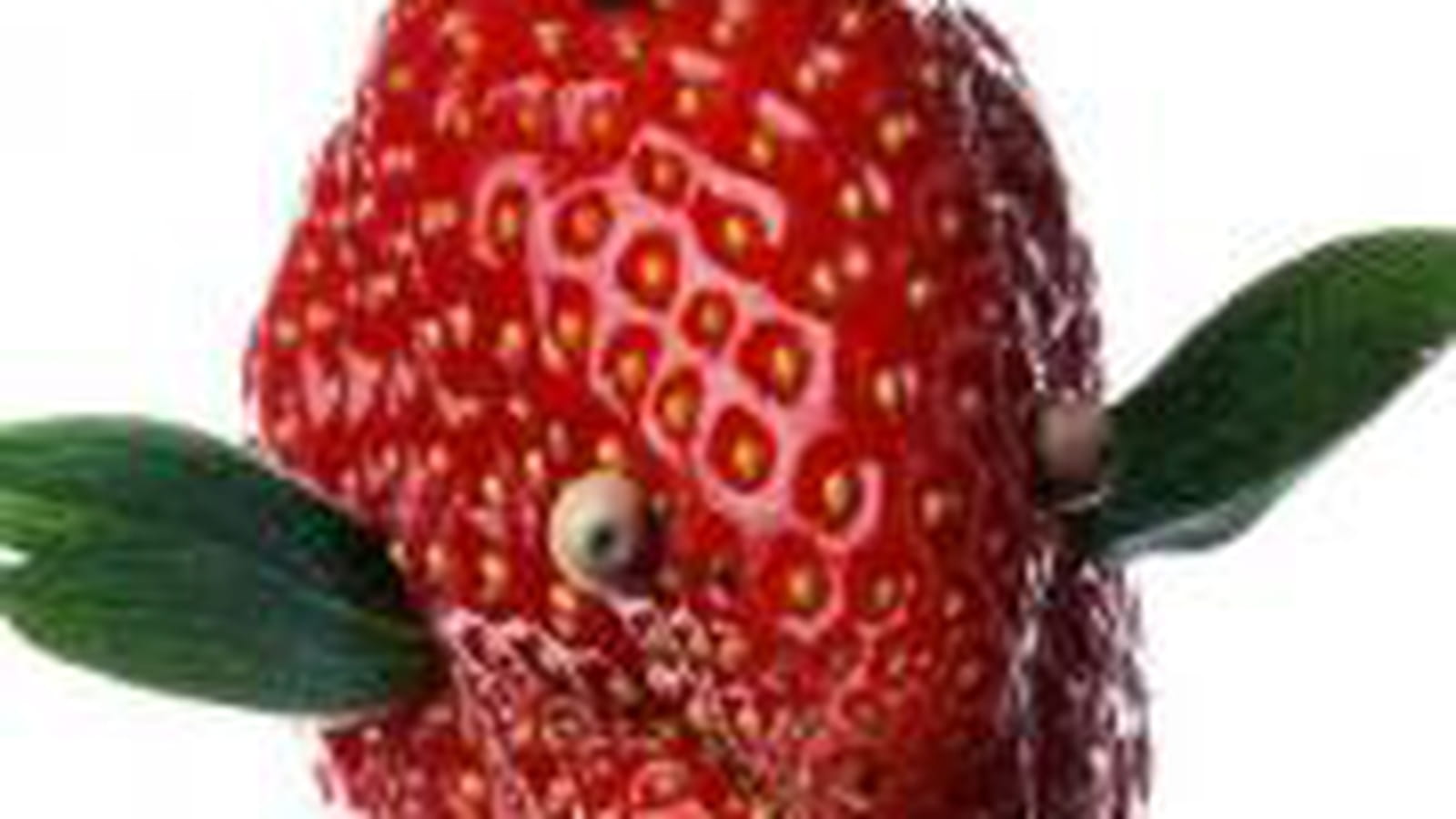 Les Fruits de mon Imagination