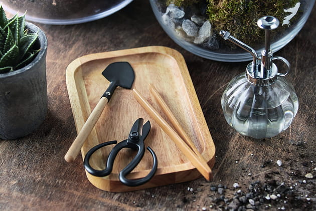 Set d'outils pour terrarium Nature & D&eacute;couvertes