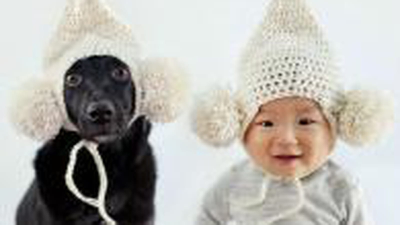 Jasper & Zoey enfilent leur bonnet