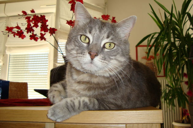 Une bouille &agrave; croquer