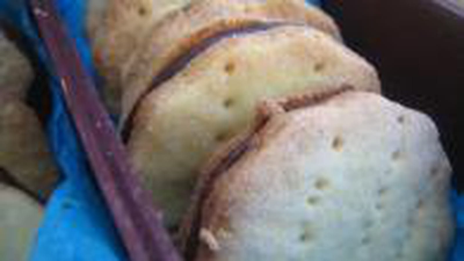 Petits gâteaux façon Prince de LU
