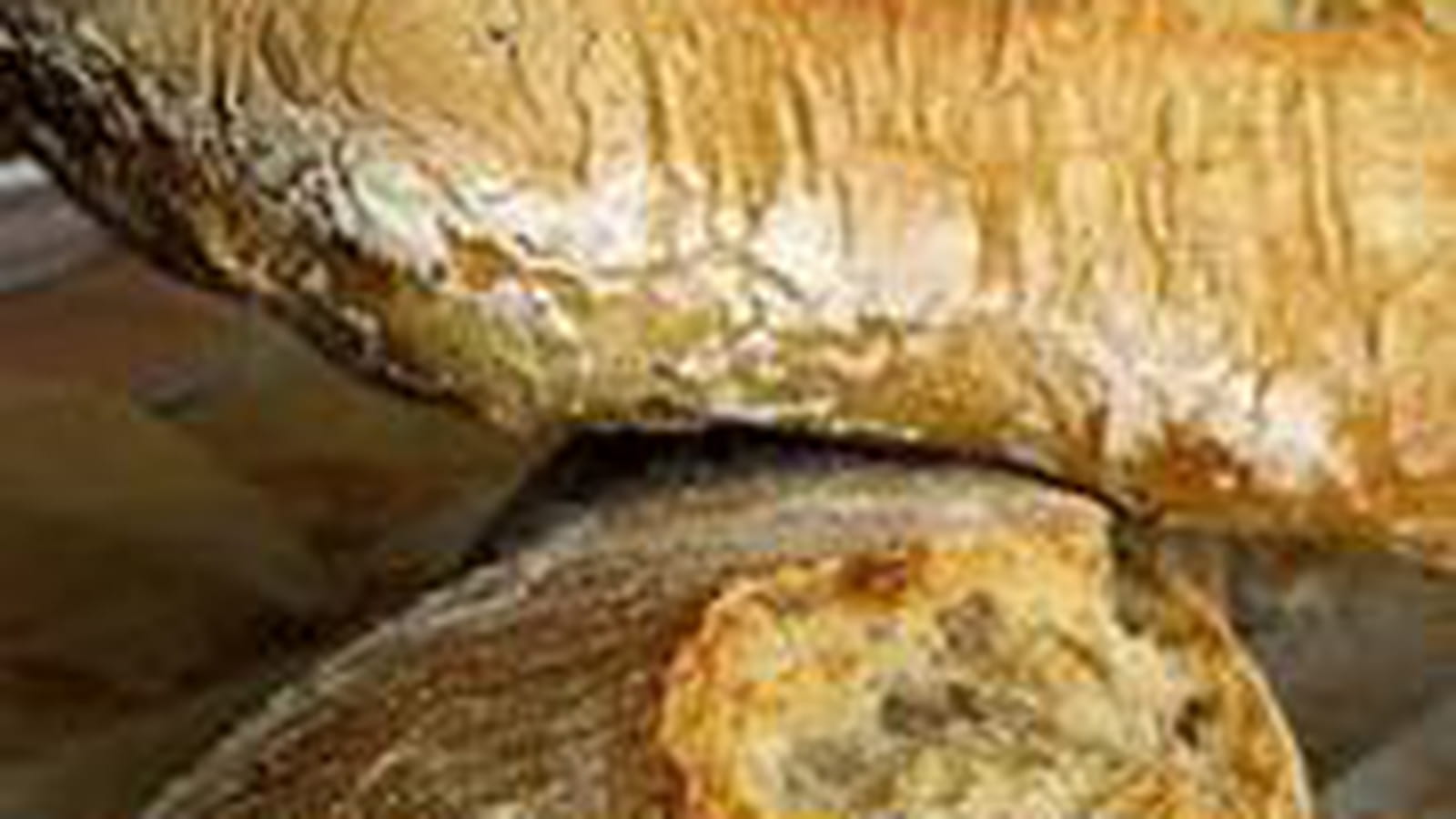 Baguettes maison