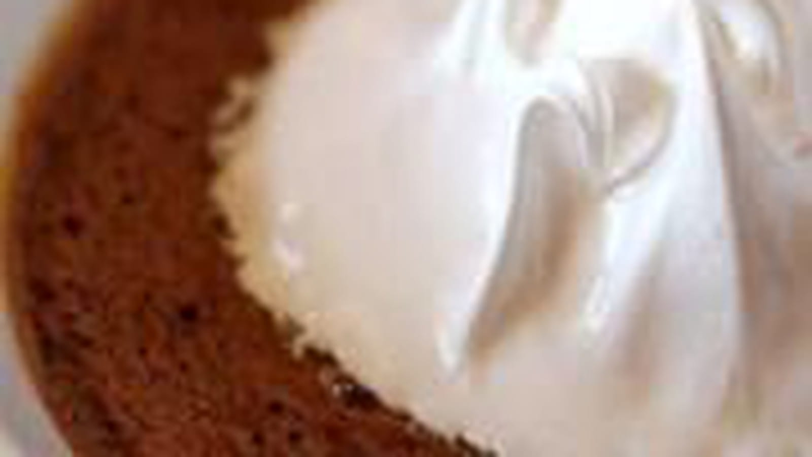 Crème br"lée au chocolat S'mores