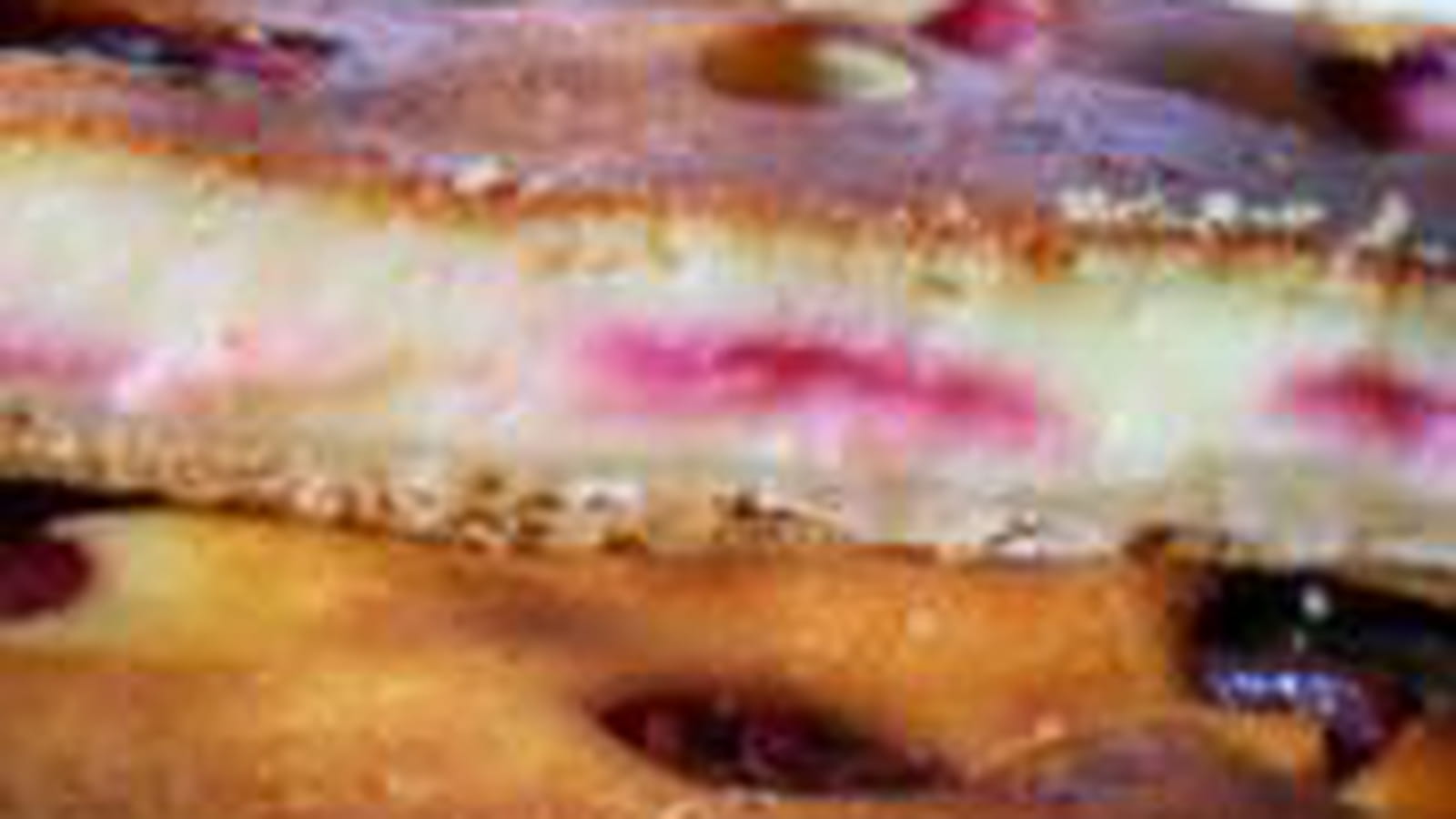 Tarte au fromage blanc et prunes rouges