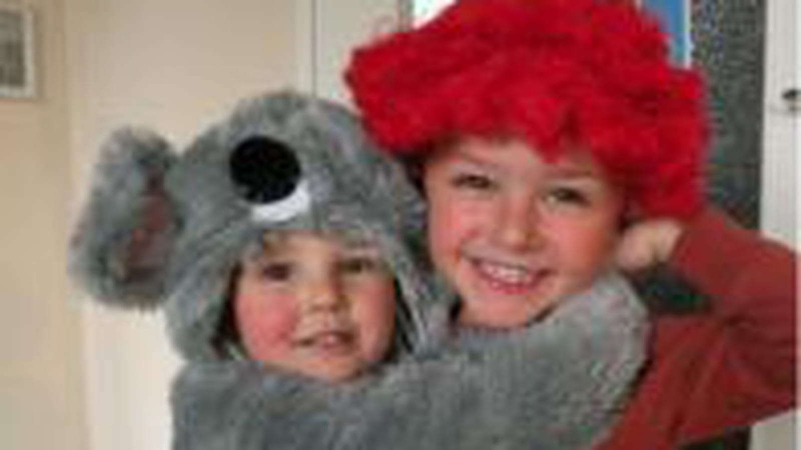 Un koala et un clown inséparables