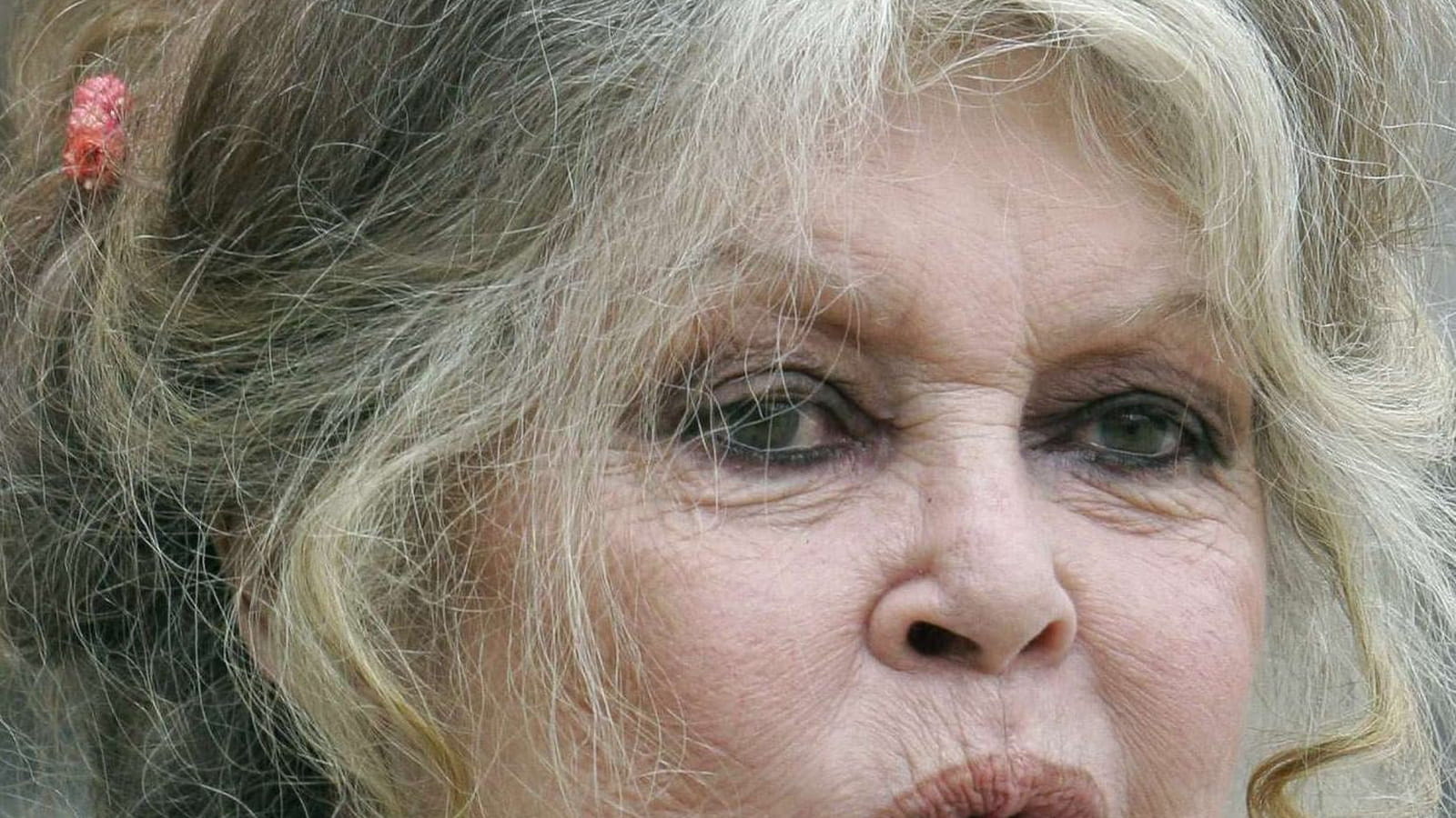 Brigitte Bardot