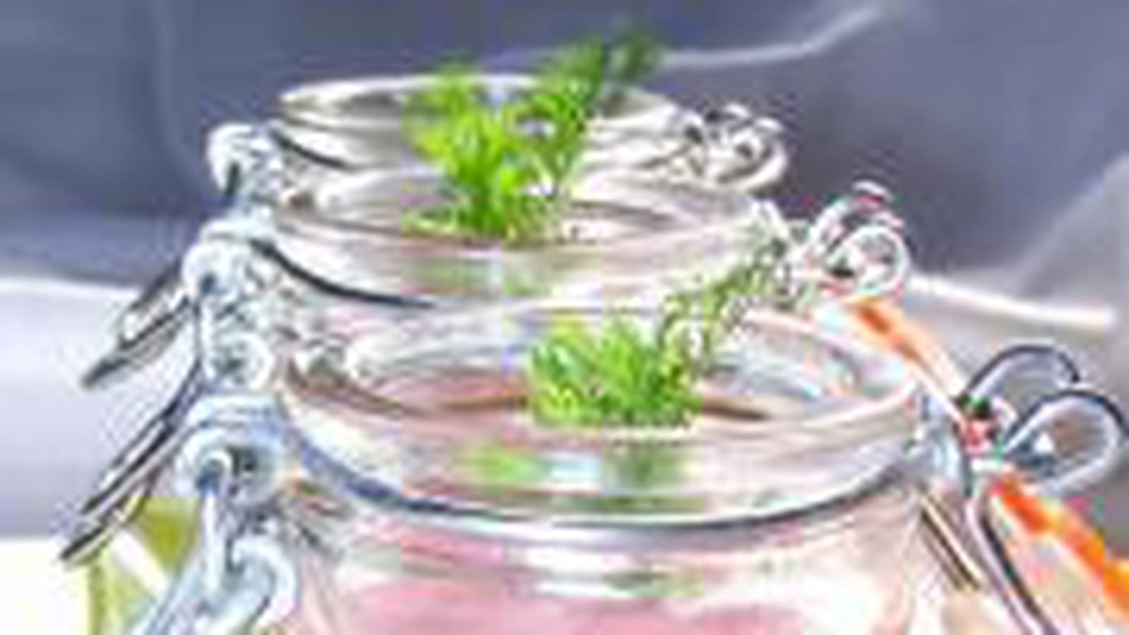 Velouté froid de betteraves au gingembre