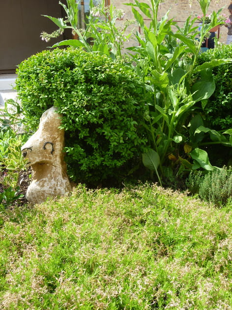 Une décoration naturelle