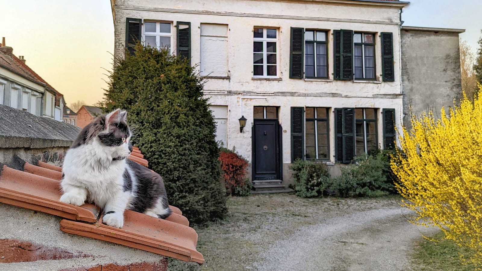 Depuis l'extérieur