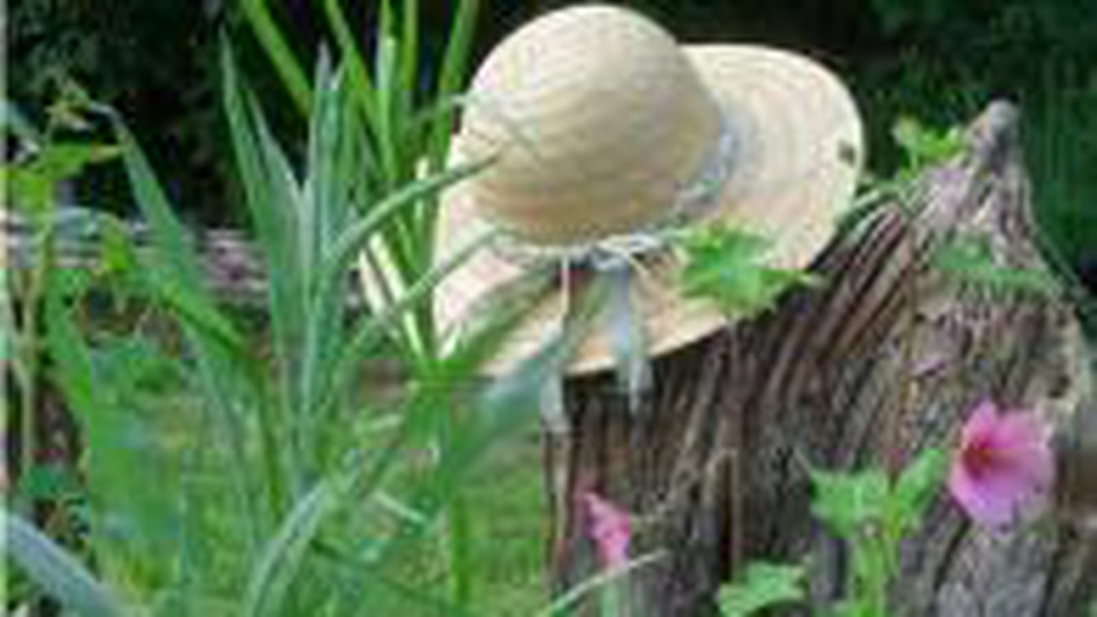 Poésie au jardin