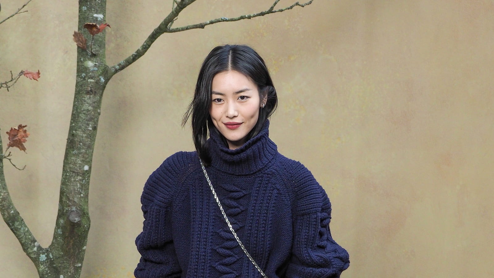 Liu Wen