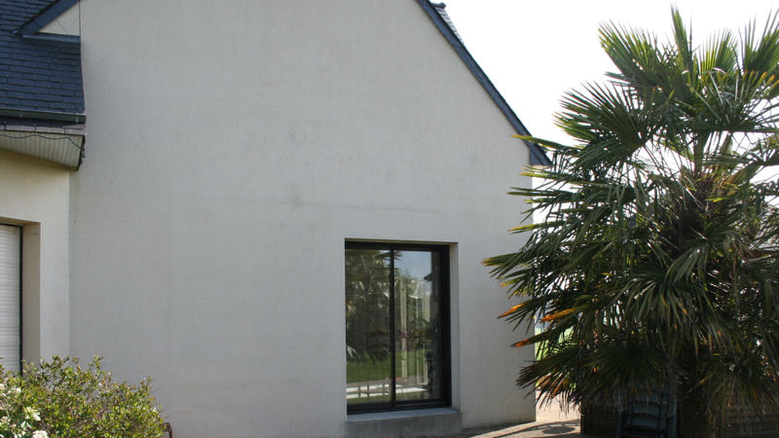 Palmier avant